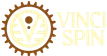 vincispins-ch.net